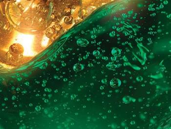 3E DMI NUTRISSE OLEOS Still 3E  INTL 2023