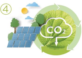 garnier green beauty mexico energias renovables