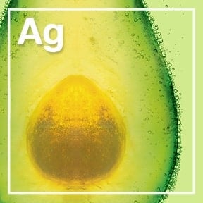 ing hair aguacate 288x288 04 (1)