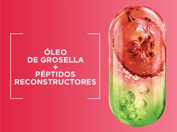 BANNER INGREDIENTES 600X450 BBD POST QUIMICA 04